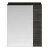 Klyn Bathroom Brooklyn 600mm Bathroom Mirror & Fascia Cabinet - Black